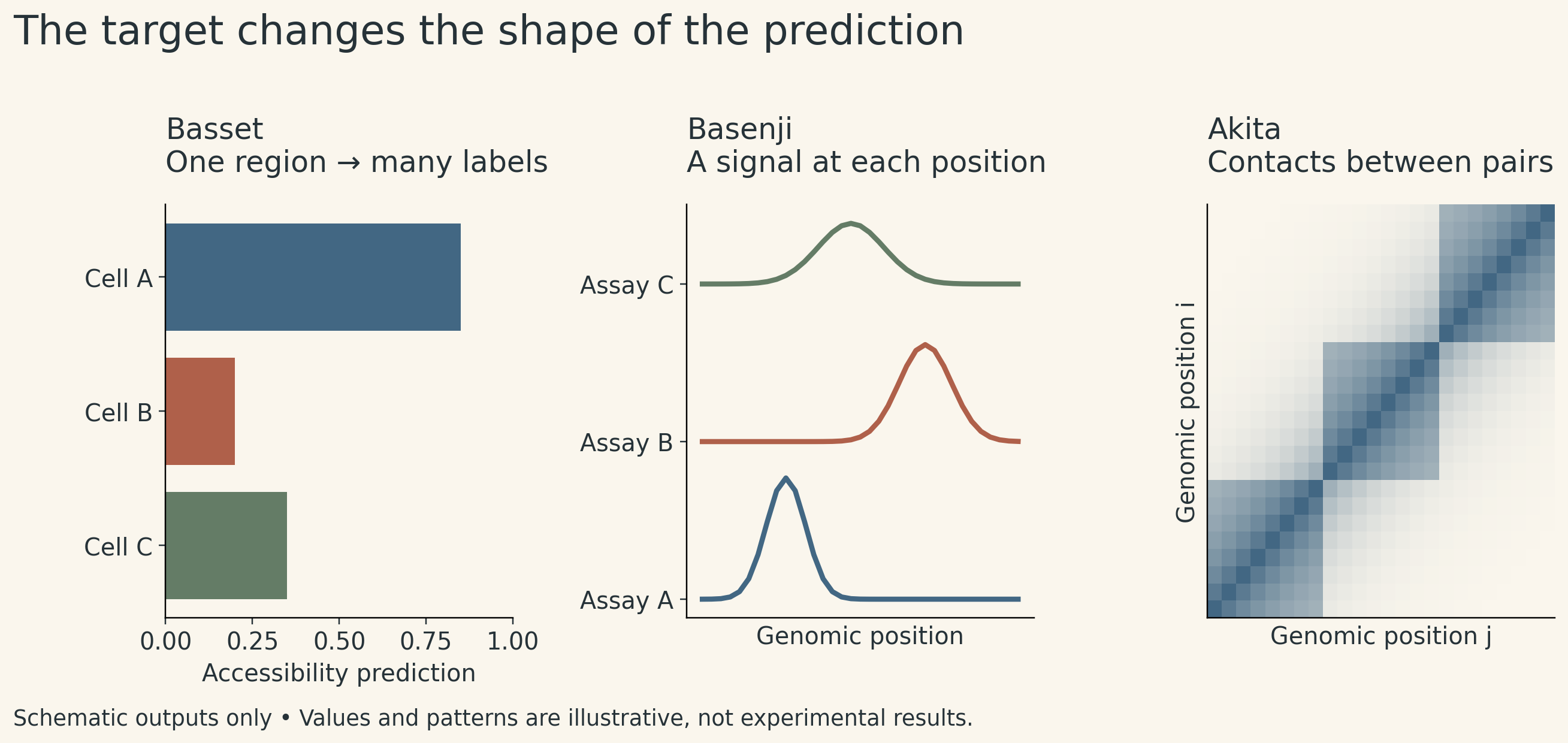 Three panels compare a vector of accessibility predictions for Basset, position-by-assay signal tracks for Basenji, and a position-by-position contact matrix for Akita. All values are illustrative.