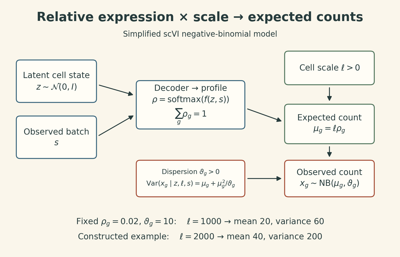 Latent cell representation z and observed batch s enter a decoder producing relative expression rho. Cell-specific scale ell multiplies rho to give mean mu. Dispersion theta and mu define a negative binomial count distribution. With rho 0.02 and theta 10, ell 1000 gives mean 20 and variance 60; ell 2000 gives mean 40 and variance 200.