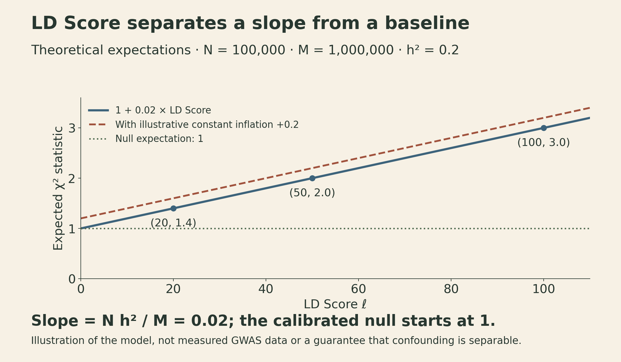 Theoretical LD Score curves, not measured GWAS data. With N equal to 100000, M equal to 1000000, and SNP heritability 0.2, the expected chi-square statistic is 1 plus 0.02 times LD Score, reaching 1.4, 2.0, and 3.0 at scores 20, 50, and 100. A dashed curve adds an illustrative constant inflation of 0.2. The null expectation is 1.