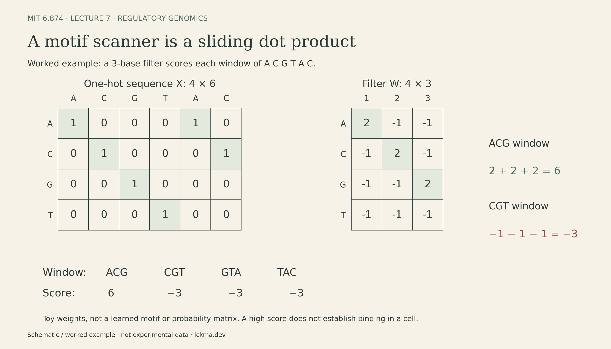 A 4 by 6 one-hot matrix for ACGTAC is scanned with a 4 by 3 toy filter giving +2 to A at position 1, C at position 2, and G at position 3, and -1 to every other base at each position. Window scores are 6, minus 3, minus 3, minus 3. A motif match alone does not establish binding.