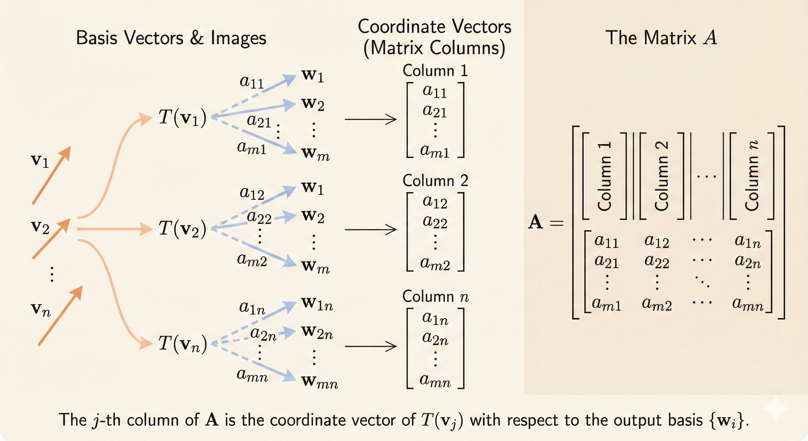 Constructing matrix from basis